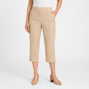 Gap classic fit cropped pants size 10 NWOT